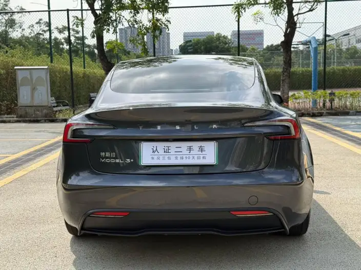 Model 3 2023 Model Long Battery Life Pro All-wheel drive version – фото 6