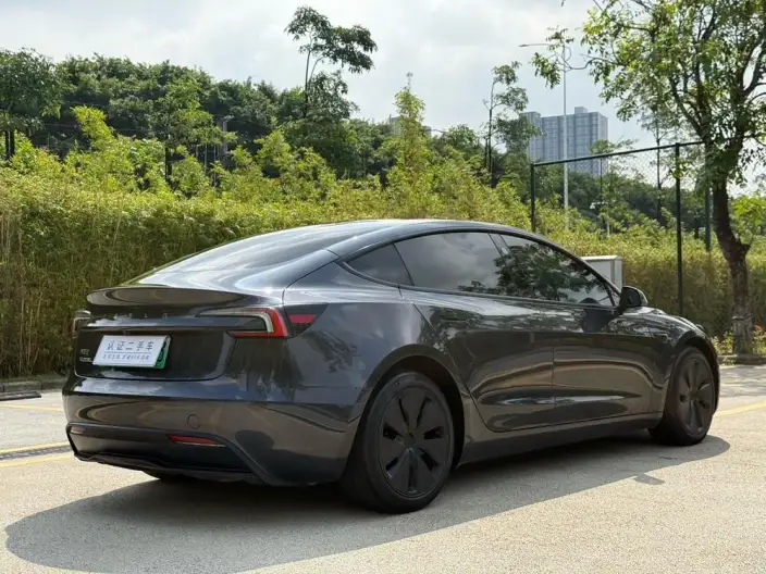 Model 3 2023 Model Long Battery Life Pro All-wheel drive version – фото 7