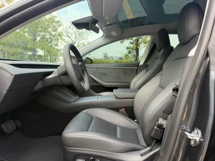 Model 3 2023 Model Long Battery Life Pro All-wheel drive version – фото 16