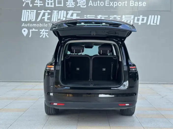 Leapmotor C16 2024 Model EV Edition 520 Exclusive Edition – фото 15