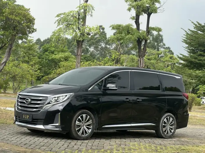 GAC Trumpchi M8 2020 Model Pilot Model 390T Premium Edition – фото 1