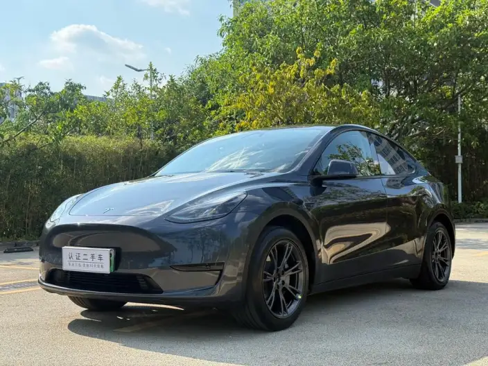 Model Y 2024 Model Rear-wheel drive version – фото 1