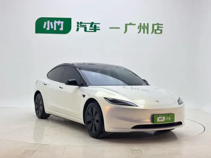 Model 3 2025 Model Rear-wheel drive version – фото 3