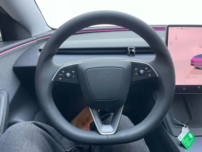 Model 3 2025 Model Rear-wheel drive version – фото 23