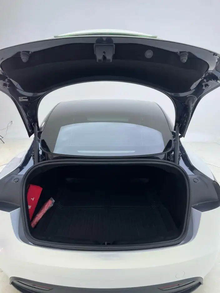Model 3 2025 Model Rear-wheel drive version – фото 27