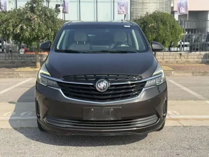 Buick GL8 2020 Model Business class 652T Luxury Model – фото 2