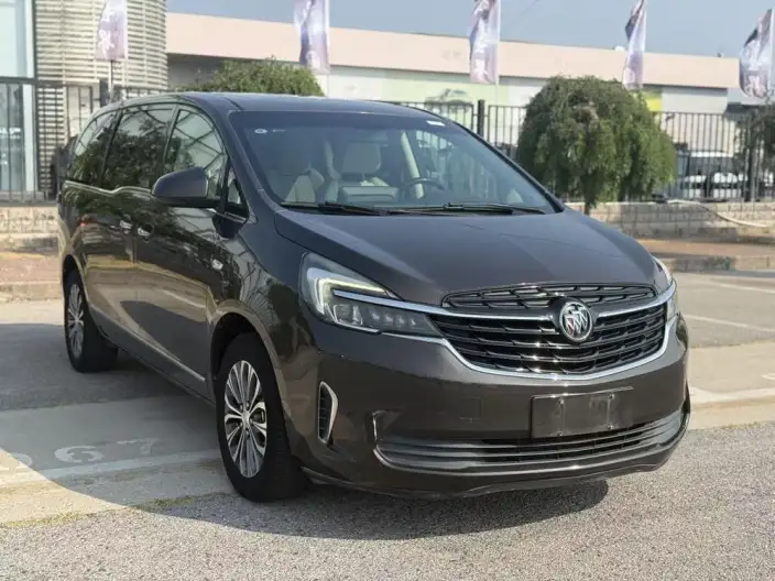 Buick GL8 2020 Model Business class 652T Luxury Model – фото 3