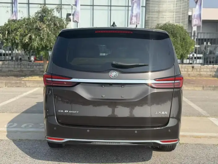 Buick GL8 2020 Model Business class 652T Luxury Model – фото 5