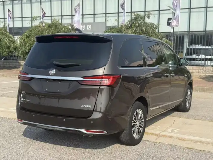 Buick GL8 2020 Model Business class 652T Luxury Model – фото 6