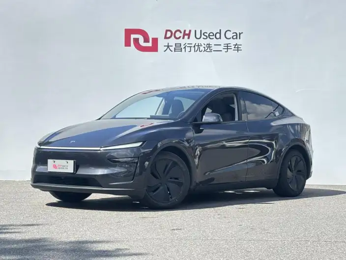 Model Y 2025 Model Rear-wheel drive version – фото 1