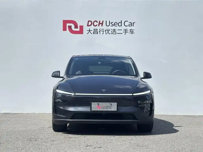 Model Y 2025 Model Rear-wheel drive version – фото 2