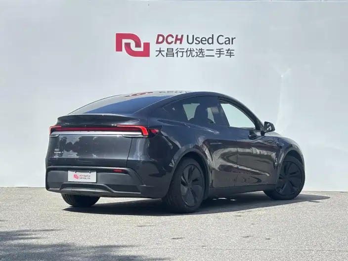 Model Y 2025 Model Rear-wheel drive version – фото 4