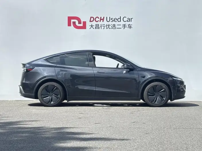 Model Y 2025 Model Rear-wheel drive version – фото 5