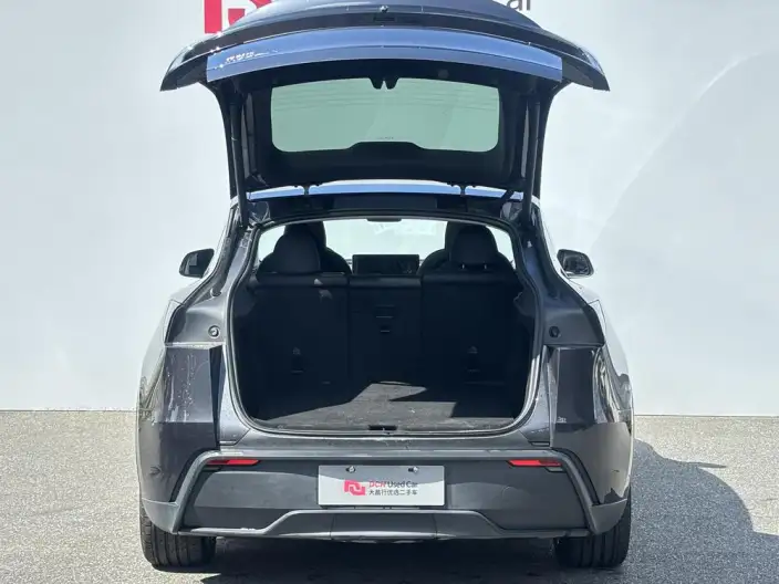 Model Y 2025 Model Rear-wheel drive version – фото 12