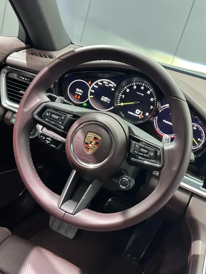 Panamera E-Hybrid 2023 Model Panamera 4 E-Hybrid 2.9T – фото 8