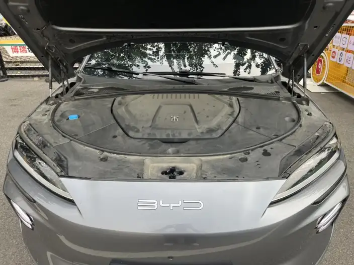 BYD Song PLUS EV 2023 Model Champion Edition 520KM Flagship Model – фото 8