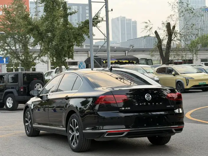 Volkswagen Magotan 2020 Model 330TSI DSG Leading Model – фото 4