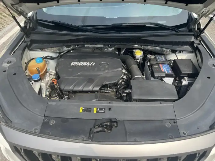 GAC Trumpchi GS4 PLUS 2021 Model 390T Automatic Xingyun Edition – фото 8