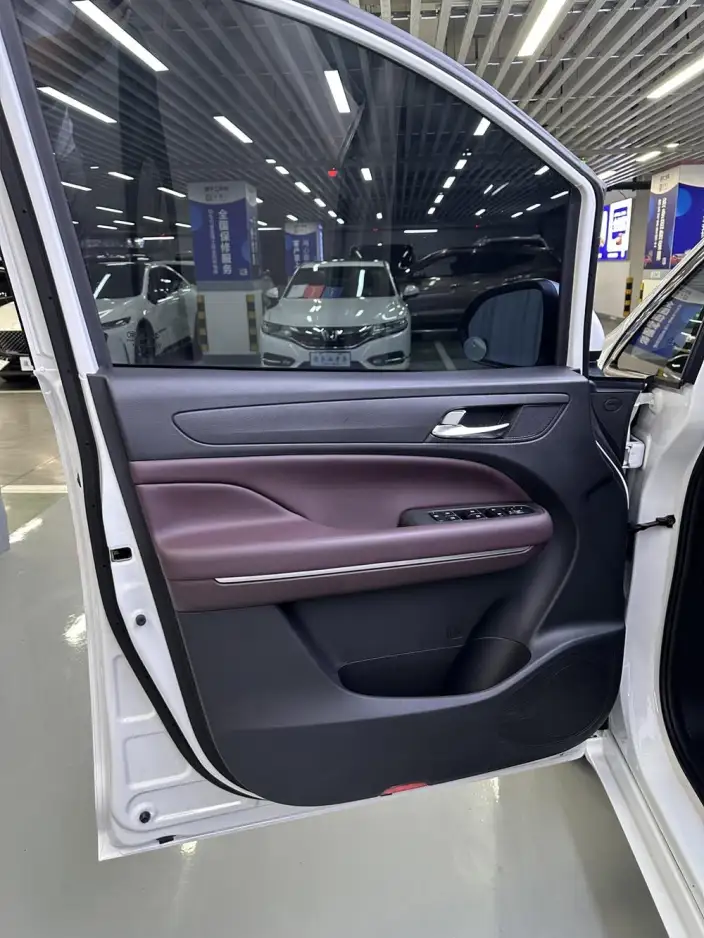 GAC Trumpchi M6 2023 Model PRO 270T WDCT Elite Edition – фото 17