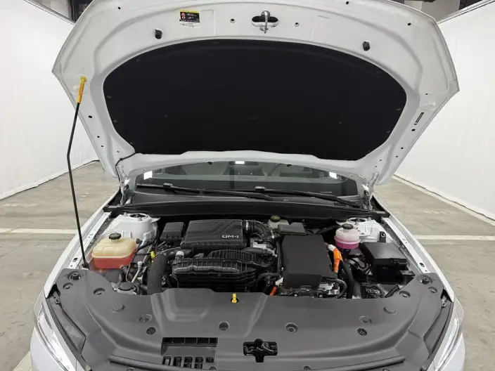 BYD Qin PLUS DM 2024 Model Honor Edition DM-i 55KM Leading Model – фото 10