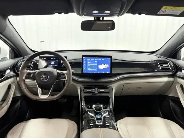 BYD Qin PLUS DM 2024 Model Honor Edition DM-i 55KM Leading Model – фото 14