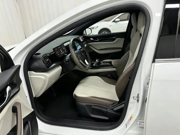 BYD Qin PLUS DM 2024 Model Honor Edition DM-i 55KM Leading Model – фото 17