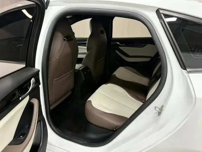 BYD Qin PLUS DM 2024 Model Honor Edition DM-i 55KM Leading Model – фото 18