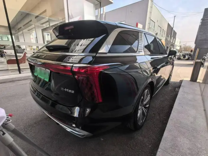 HONGQI E-HS9 2022 Model 660km Flag Enjoy Edition VI seat – фото 5