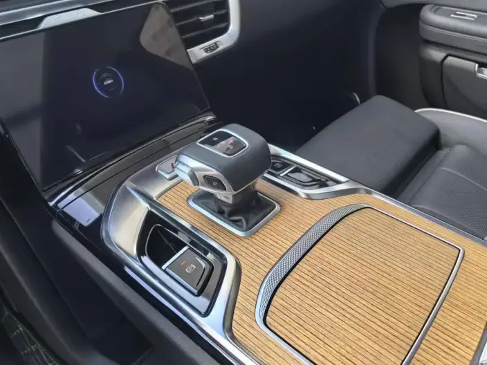 HONGQI E-HS9 2022 Model 660km Flag Enjoy Edition VI seat – фото 7