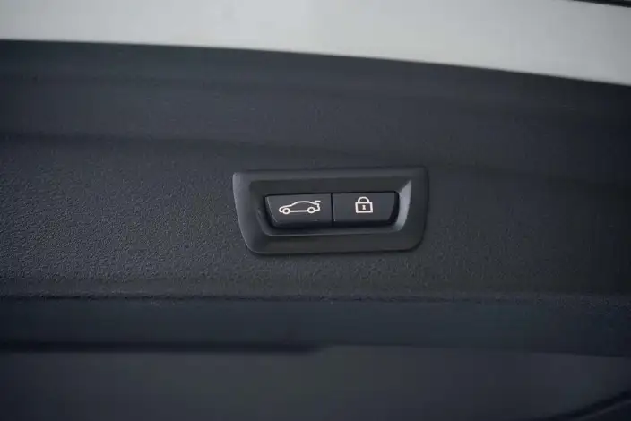 BMW X2 2020 Model sDrive25i Leading Model M Sports Set – фото 11