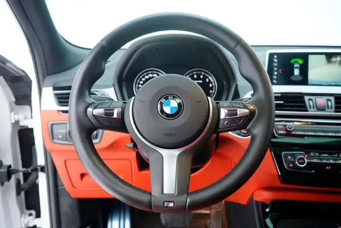 BMW X2 2020 Model sDrive25i Leading Model M Sports Set – фото 17