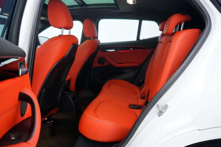 BMW X2 2020 Model sDrive25i Leading Model M Sports Set – фото 21