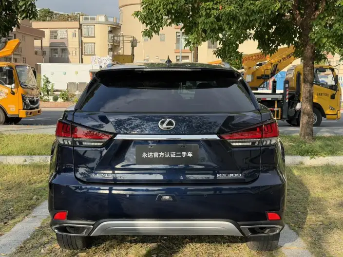 Lexus RX 2020 Model Facelift 300 4WD Elegant Edition – фото 4