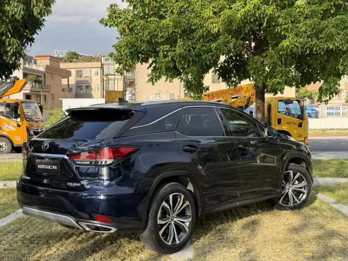 Lexus RX 2020 Model Facelift 300 4WD Elegant Edition – фото 5