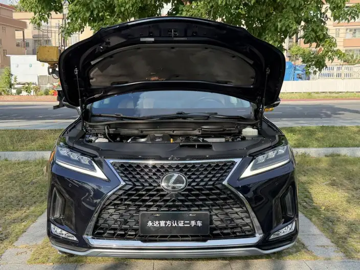 Lexus RX 2020 Model Facelift 300 4WD Elegant Edition – фото 6