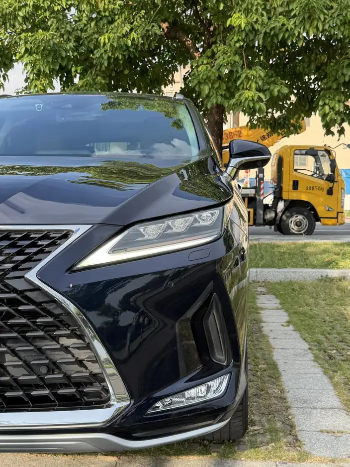 Lexus RX 2020 Model Facelift 300 4WD Elegant Edition – фото 7