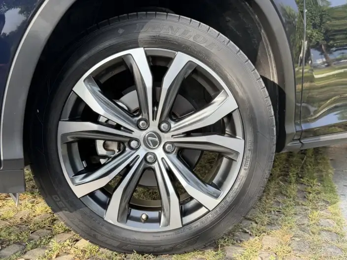 Lexus RX 2020 Model Facelift 300 4WD Elegant Edition – фото 10
