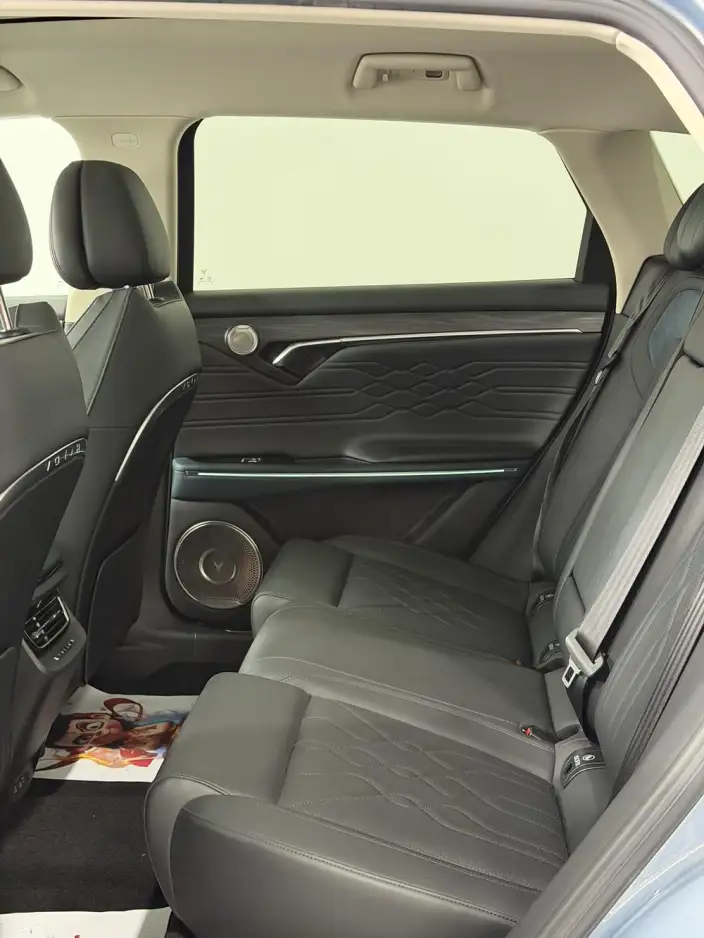 VOYAH FREE 2021 Model 4WD Extended Range First Edition Memorial Edition Prestige Package – фото 7