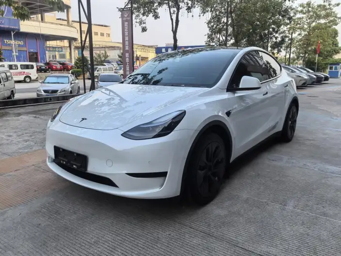 Model Y 2022 Model Facelift Rear-wheel drive version – фото 1