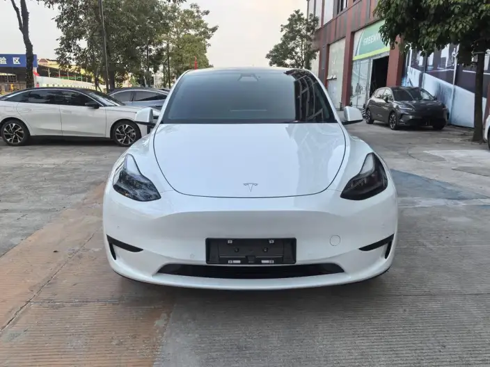 Model Y 2022 Model Facelift Rear-wheel drive version – фото 2