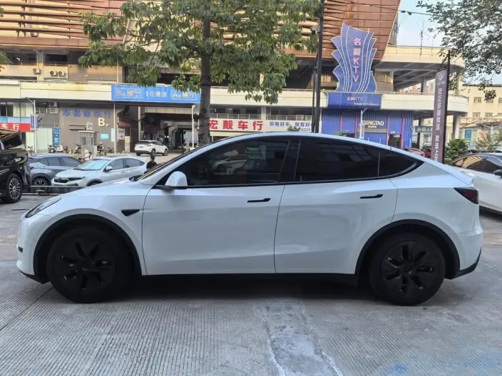 Model Y 2022 Model Facelift Rear-wheel drive version – фото 4
