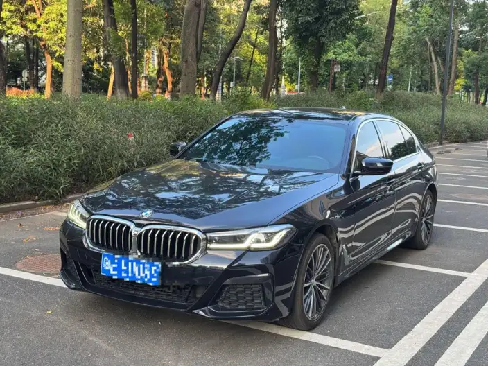 BMW 5 Series 2023 Model 530Li Leading Model M Sports Set – фото 10