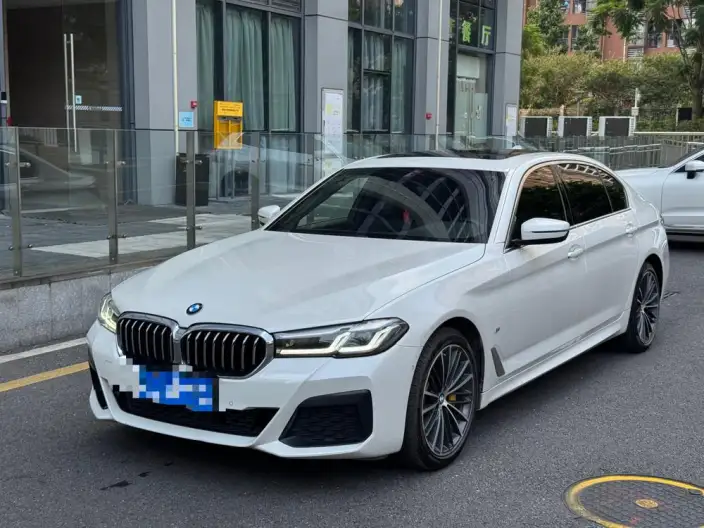 BMW 5 Series 2021 Model 530Li Leading Model M Sports Set – фото 1