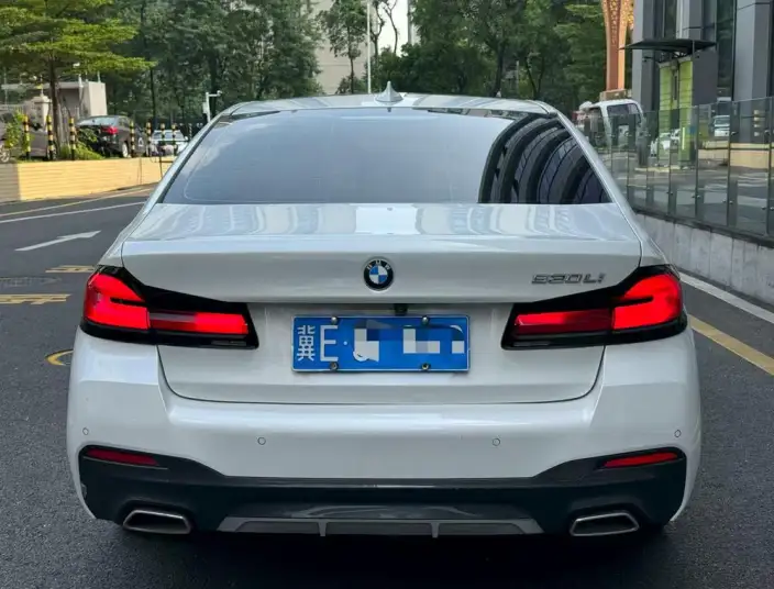 BMW 5 Series 2021 Model 530Li Leading Model M Sports Set – фото 4