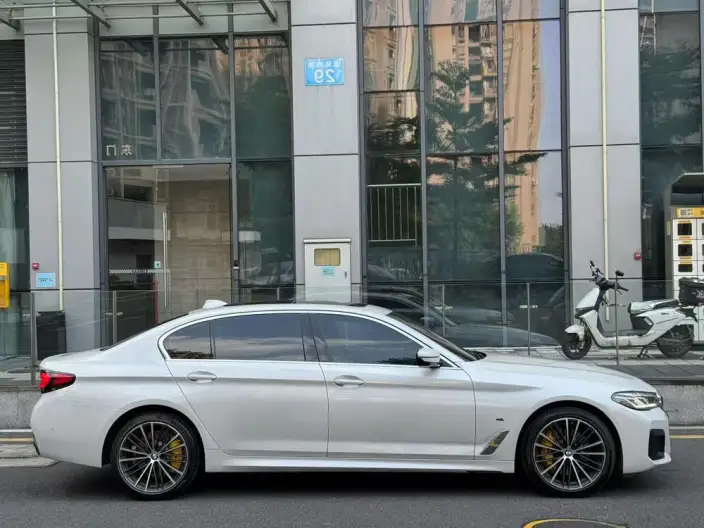 BMW 5 Series 2021 Model 530Li Leading Model M Sports Set – фото 5