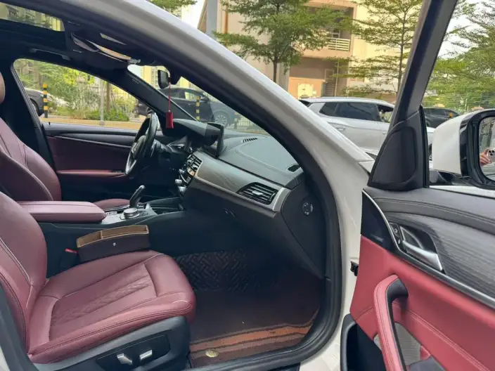 BMW 5 Series 2021 Model 530Li Leading Model M Sports Set – фото 9