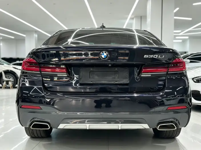 BMW 5 Series 2021 Model 530Li Leading Model M Sports Set – фото 5