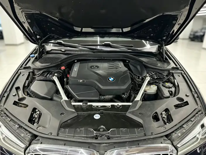 BMW 5 Series 2021 Model 530Li Leading Model M Sports Set – фото 6