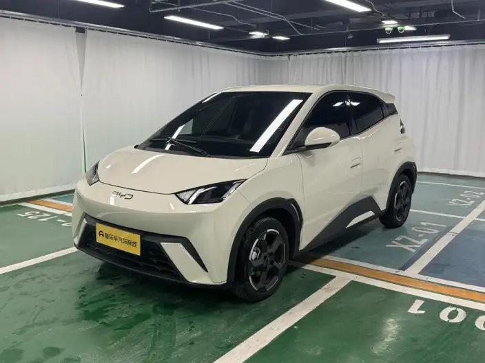 BYD Seagull 2024 Model Honor Edition 405KM Feixiang Edition – фото 1