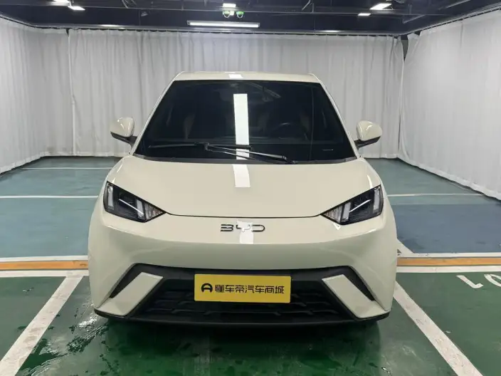 BYD Seagull 2024 Model Honor Edition 405KM Feixiang Edition – фото 2